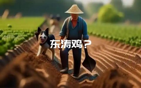 东涛鸡？-会东网
