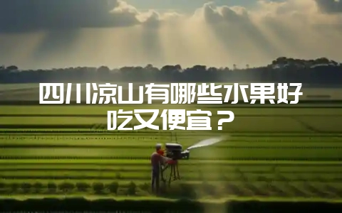 四川凉山有哪些水果好吃又便宜？-会东网