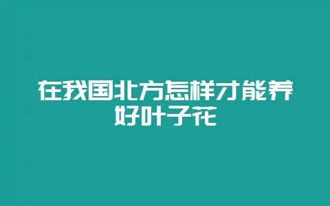 在我国北方怎样才能养好叶子花-会东网