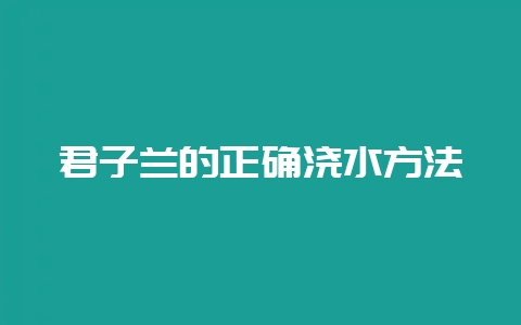 君子兰的正确浇水方法插图 君子兰的正确浇水方法插图