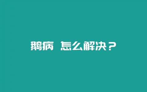 鹅病 怎么解决？-会东网
