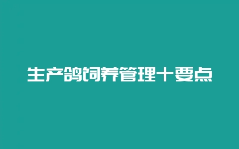 生产鸽饲养管理十要点-会东网