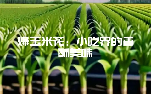 爆玉米花:小吃界的香酥美味插图 爆玉米花:小吃界的香酥美味插图