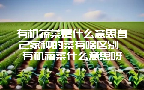有机蔬菜是什么意思自己家种的菜有啥区别 有机蔬菜什么意思呀-会东网