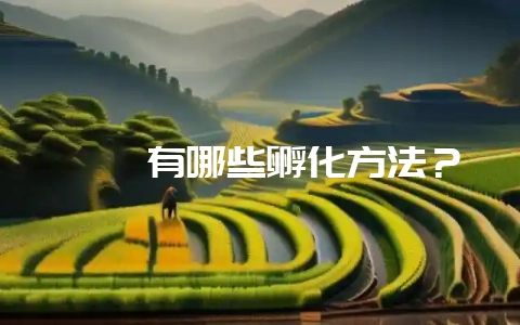 鹌鹑有哪些孵化方法？-会东网