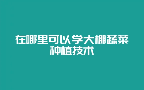 在哪里可以学大棚蔬菜种植技术插图 在哪里可以学大棚蔬菜种植技术插图