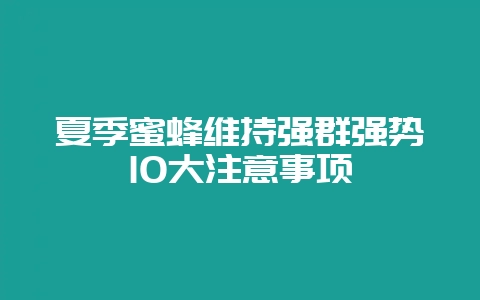 夏季蜜蜂维持强群强势10大注意事项-会东网