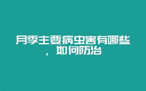月季主要病虫害有哪些，如何防治-会东网