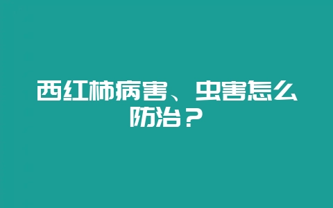 西红柿病害、虫害怎么防治？-会东网