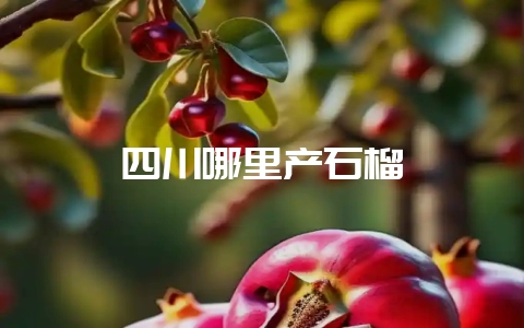 四川哪里产石榴插图 四川哪里产石榴插图
