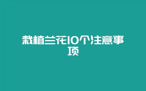 栽植兰花10个注意事项-会东网