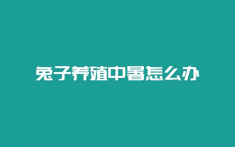 兔子养殖中暑怎么办-会东网
