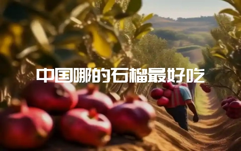 中国哪的石榴最好吃-会东网