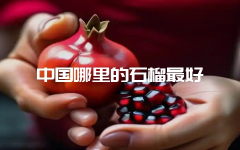 中国哪里的石榴最好-会东网