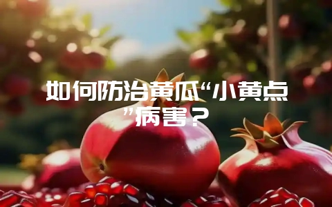 如何防治黄瓜“小黄点”病害？-会东网