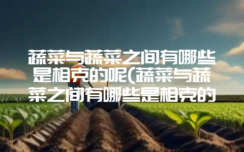 蔬菜与蔬菜之间有哪些是相克的呢(蔬菜与蔬菜之间有哪些是相克的呢英语)-会东网