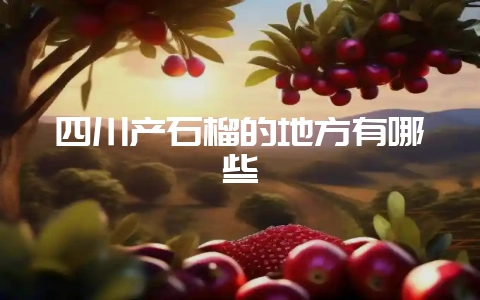 四川产石榴的地方有哪些插图 四川产石榴的地方有哪些插图