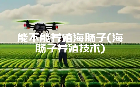 能不能养殖海肠子(海肠子养殖技术)-会东网