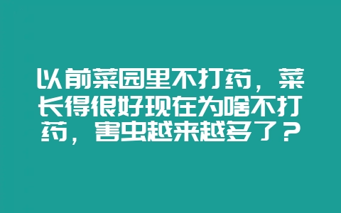 以前菜园里不打药，菜长得很好现在为啥不打药，害虫越来越多了？-会东网