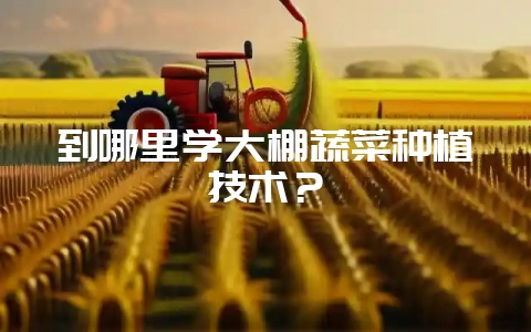 到哪里学大棚蔬菜种植技术？-会东网