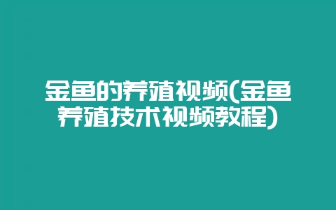 金鱼的养殖视频(金鱼养殖技术视频教程)-会东网