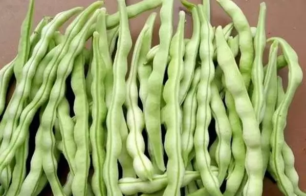 豆角的营养价值及功效 豆角的功效与作用-会东网