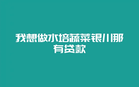 我想做水培蔬菜银川那有贷款-会东网