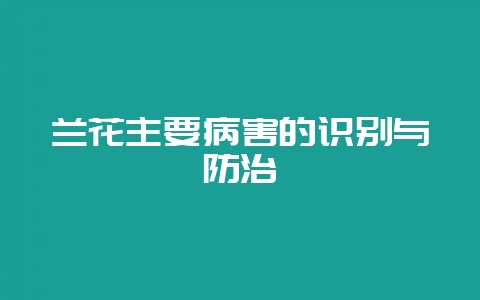 兰花主要病害的识别与防治-会东网