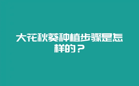 大花秋葵种植步骤是怎样的？-会东网