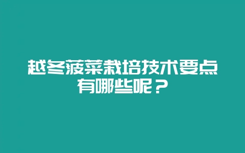 越冬菠菜栽培技术要点有哪些呢？-会东网