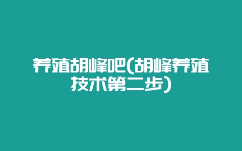 养殖胡峰吧(胡峰养殖技术第二步)-会东网
