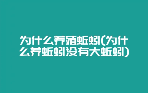 为什么养殖蚯蚓(为什么养蚯蚓没有大蚯蚓)-会东网