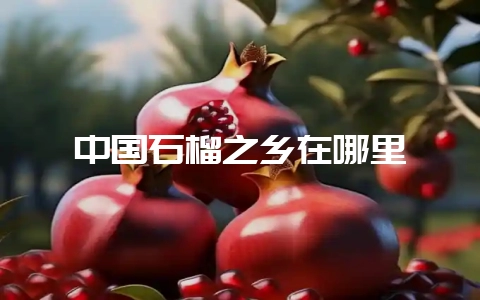 中国石榴之乡在哪里-会东网