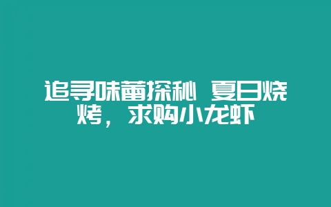 追寻味蕾探秘 夏日烧烤，求购小龙虾-会东网