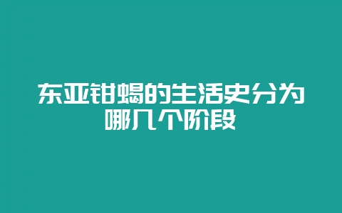 东亚钳蝎的生活史分为哪几个阶段-会东网
