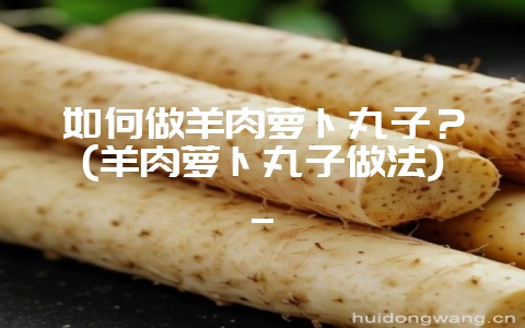 如何做羊肉萝卜丸子？(羊肉萝卜丸子做法)_-会东网