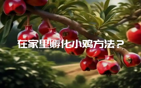 在家里孵化小鸡方法?插图 在家里孵化小鸡方法?插图