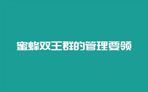 蜜蜂双王群的管理要领插图 蜜蜂双王群的管理要领插图