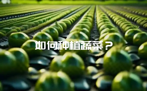如何种植蔬菜?插图 如何种植蔬菜?插图