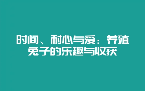 时间、耐心与爱:养殖兔子的乐趣与收获插图 时间、耐心与爱:养殖兔子的乐趣与收获插图