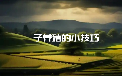 貉子养殖的小技巧-会东网