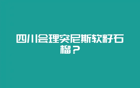 四川会理突尼斯软籽石榴？-会东网