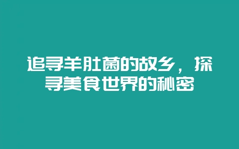 追寻羊肚菌的故乡，探寻美食世界的秘密-会东网