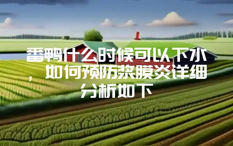 番鸭什么时候可以下水，如何预防浆膜炎详细分析如下-会东网
