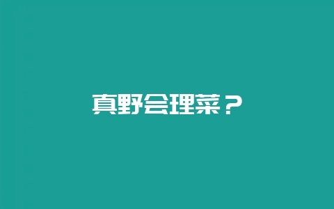 真野会理菜？-会东网
