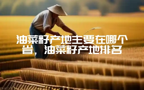 油菜籽产地主要在哪个省，油菜籽产地排名-会东网