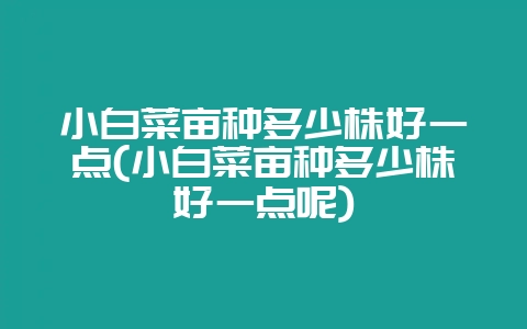 小白菜亩种多少株好一点(小白菜亩种多少株好一点呢)-会东网