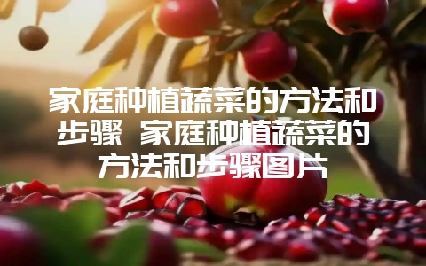 家庭种植蔬菜的方法和步骤 家庭种植蔬菜的方法和步骤图片-会东网