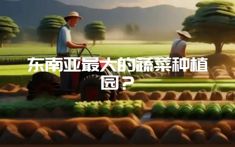 东南亚最大的蔬菜种植园？-会东网