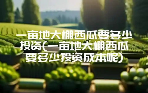 一亩地大棚西瓜要多少投资(一亩地大棚西瓜要多少投资成本呢)插图 一亩地大棚西瓜要多少投资(一亩地大棚西瓜要多少投资成本呢)插图